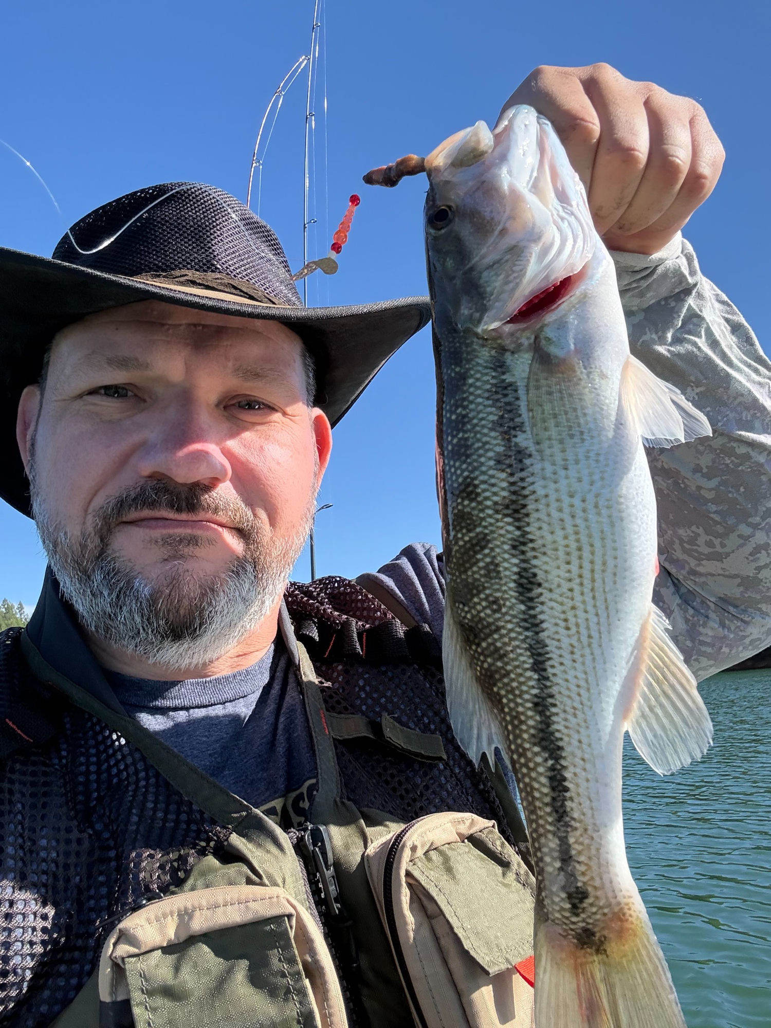 Largemouth bass