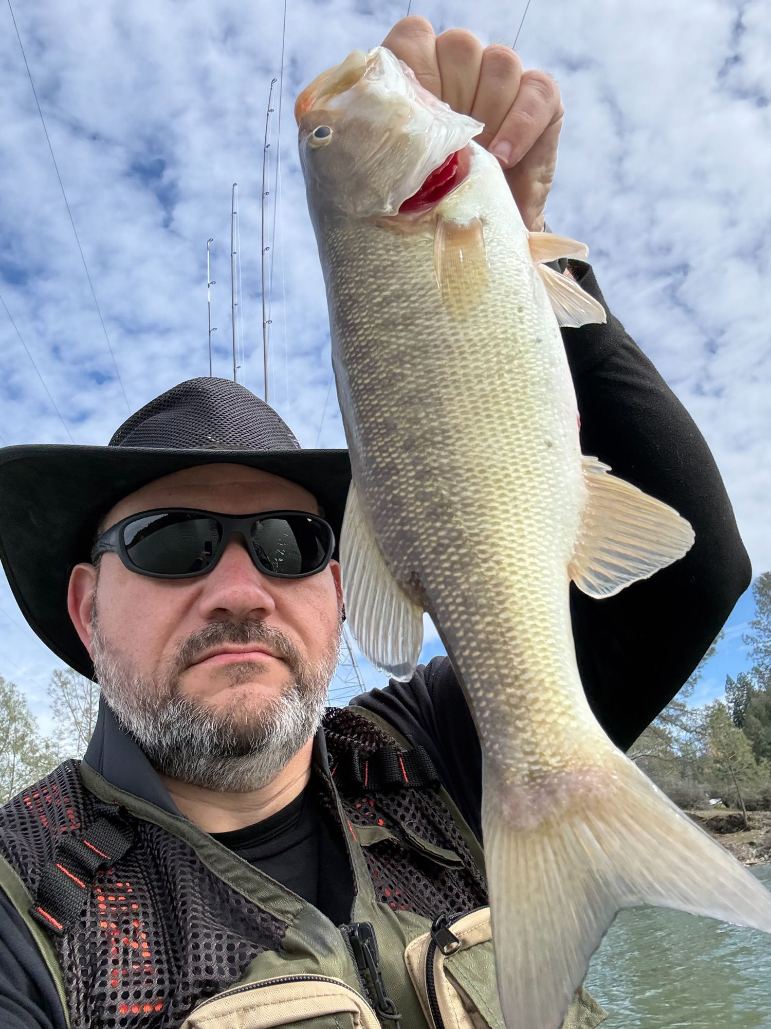 Spotted bass