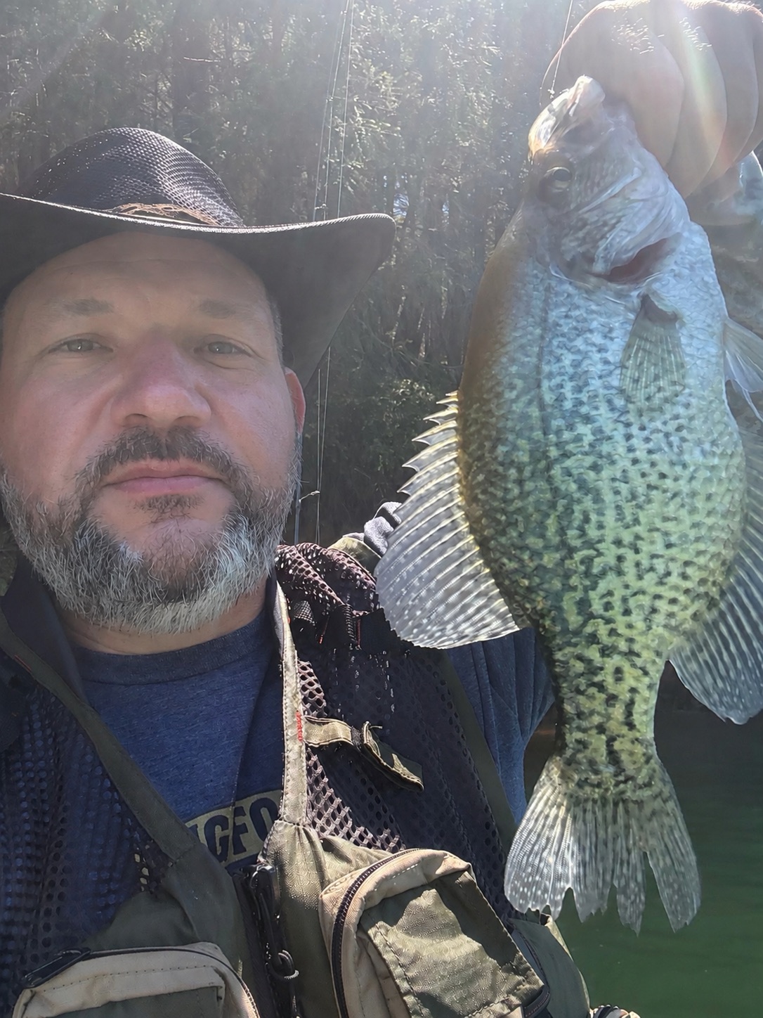 Crappie