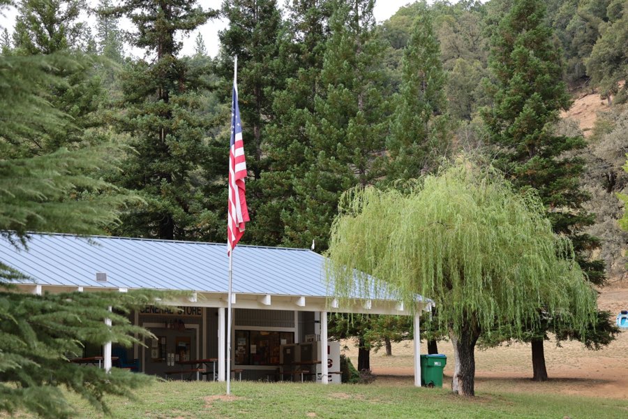 The General Store framed by pine trees with the flag flying