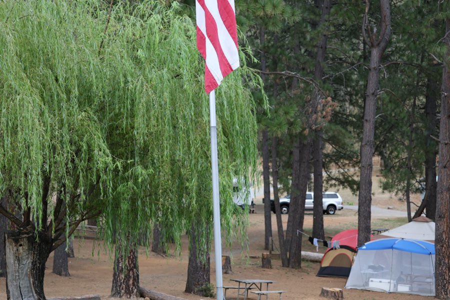 The American flag flying beside a willow tree over the campground