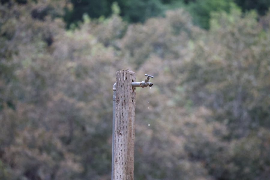 A dripping water spigot on a weathered wooden post