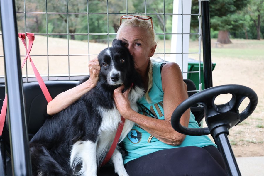 A border collie getting a hug in the passenger seat of a campground golf cart