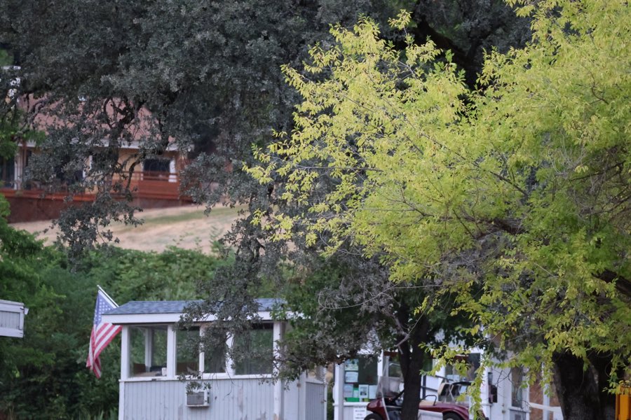 Small white campground office building with an American flag, surrounded by trees