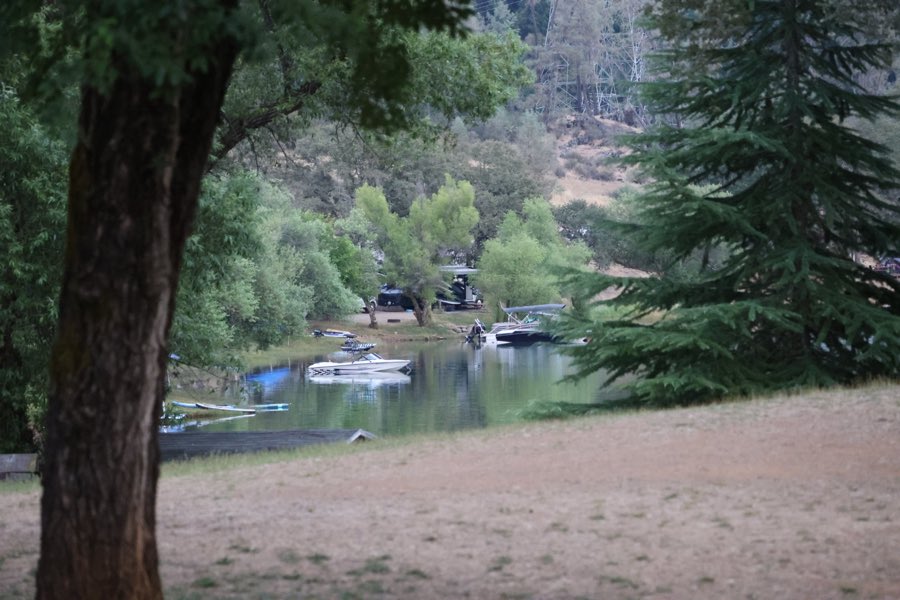 A lake cove with moored boats seen through oak trees across a dry grass slope