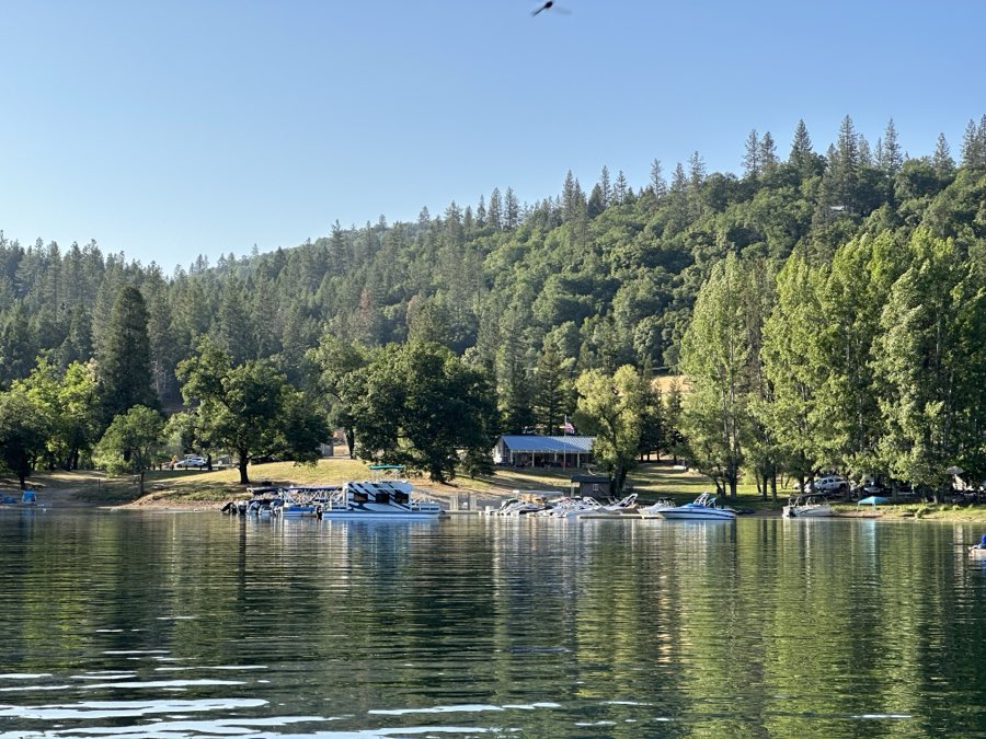 The campground shoreline seen from the lake, with boats along the beach and a forested hill behind
